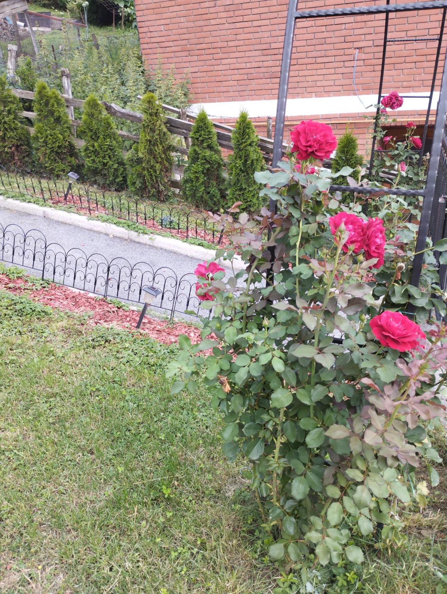 Apartment Sanja Saraybosna Dış mekan fotoğraf